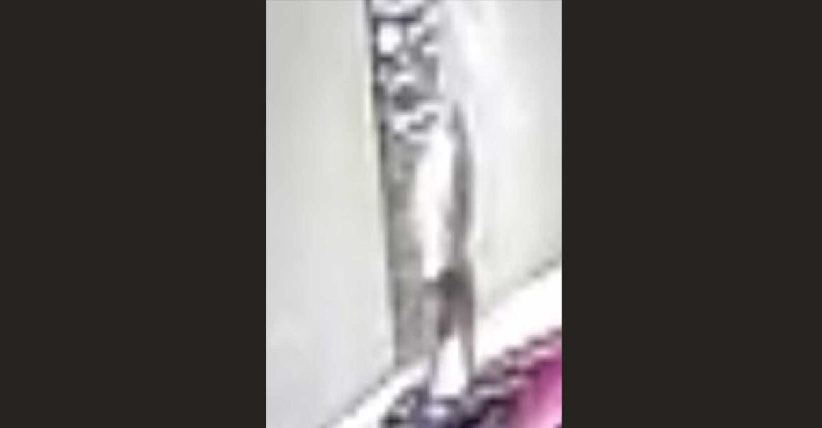 Police-Seek-Suspect-in-Spring-Valley-Business-Burglary-Near-Jones-and-Flamingo Police-Seek-Suspect-in-Spring-Valley-Business-Burglary-Near-Jones-and-Flamingo