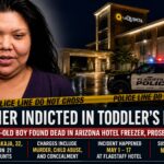 Arizona Mom Indicted After Toddler Found in Freezer